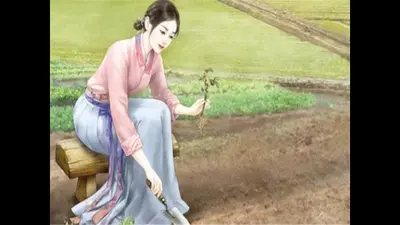 穿越田园：农家小酒娘