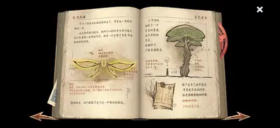 王爷总惦记我的游戏背包