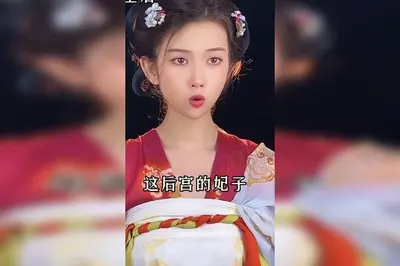 朕的爱妃又惹事儿了