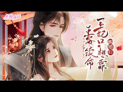 论如何与王爷过日子