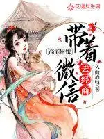 高能厨娘：带着微信去经商