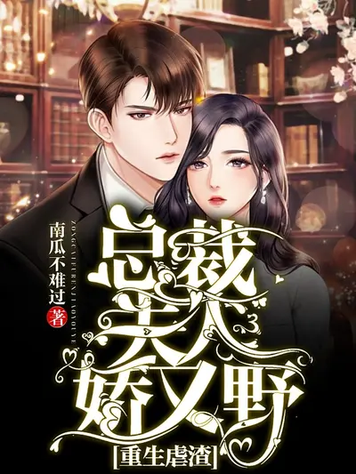 我的冷艳总裁夫人