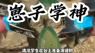 重生之全能学神