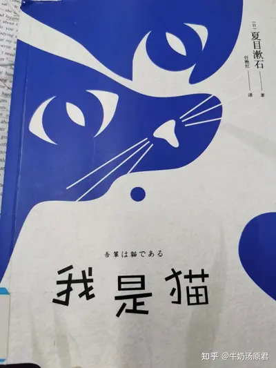 我怎么不知道我是猫？[系统]