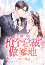 一胎三宝：抢个总裁做爹地