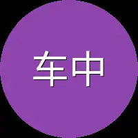 车中