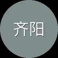 齐阳就