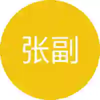 张副厅长