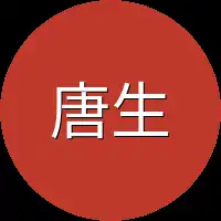 唐生智