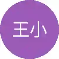 王小宇